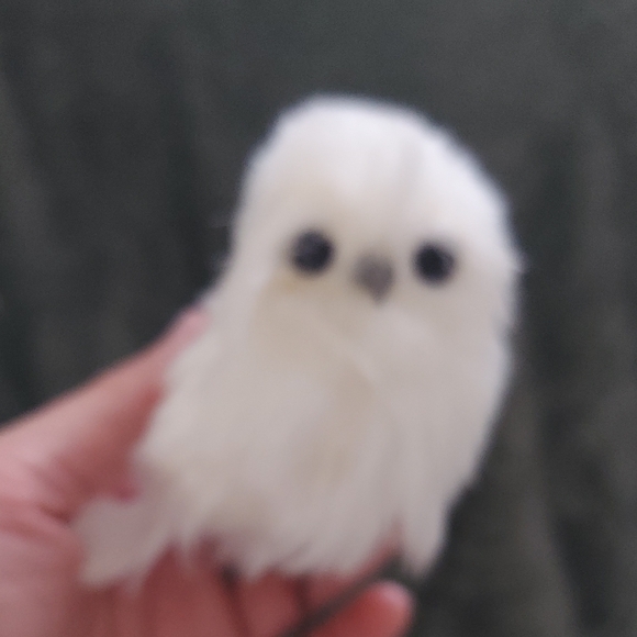 White 🦉 Owl 3" - Picture 4 of 6